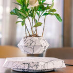 Vase en Lévitation – Image 9